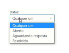 consulta_4.png